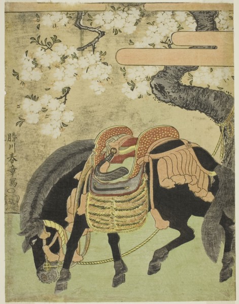 Black Horse Tethered under a Blossoming Cherry Tree, c. 1770, Katsukawa Shunsho ?? ??, Japanese,