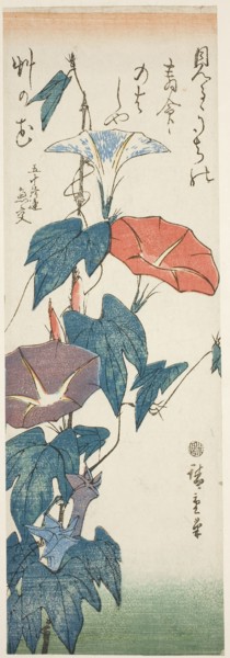 Morning Glories, c. 1840s, Utagawa Hiroshige ?? ??, Japanese, 1797-1858, Japan, Color woodblock