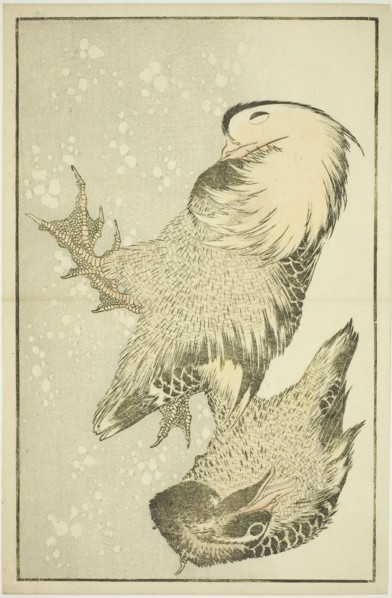 Two Waterfowl, from The Picture Book of Realistic Paintings of Hokusai (Hokusai shashin gafu), c.