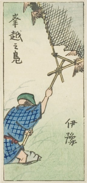 Catching Wild Ducks in Iyo Province (Iyo, okoshi no kamo), section of sheet no. 16 from the series