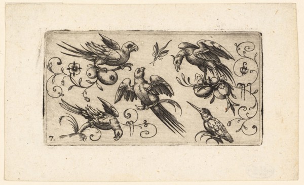 Ornament Panels with Birds: Plate 7, 1617, Adrian Muntink, Dutch, active 1597-1617, Netherlands,