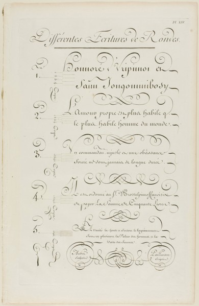 Various Rounded-Style Calligraphy, from Encyclopédie, 1760, Aubin (French, active 18th century),