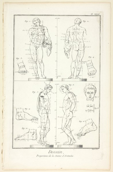 Design: Proportions of the Antinoüs Statue, from Encyclopédie, 1762/77, A. J. Defehrt (French,