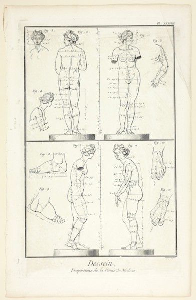 Design: Proportions of the Medici Venus, from Encyclopédie, 1762/77, Benoît-Louis Prévost (French,