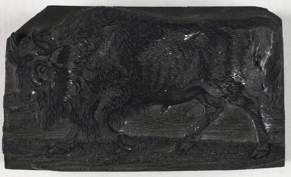 Woodblock for The Urus or Wild Bull, from A General History of Quadrupeds, c. 1790, Thomas Bewick,