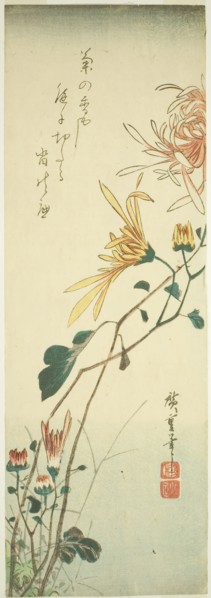 Chrysanthemums, c. 1840, Utagawa Hiroshige ?? ??, Japanese, 1797-1858, Japan, Color woodblock