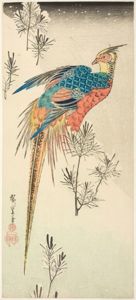 A Golden Pheasant Perched on a Steep Snowy Hillside amid Small Pine Saplings, c. 1833, Utagawa