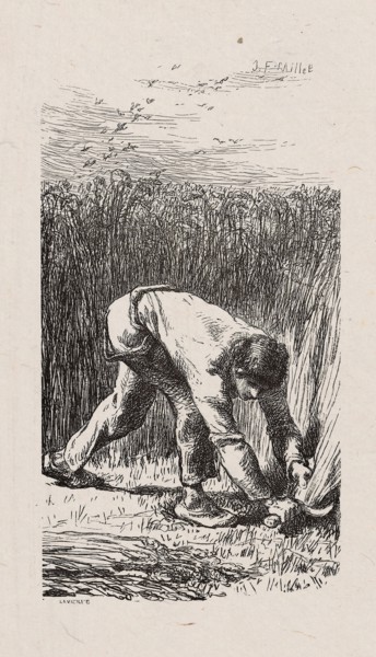 Reaper, 1853, after drawing made in 1852, Jacques Adrien Lavieille (French, 1818-1862), after Jean