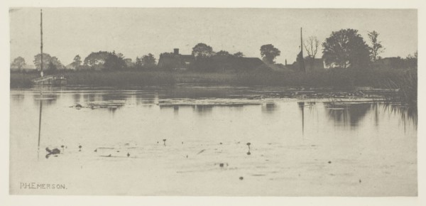 The Fringe of the Mere, c. 1883/87, printed 1888, Peter Henry Emerson, English, born Cuba,