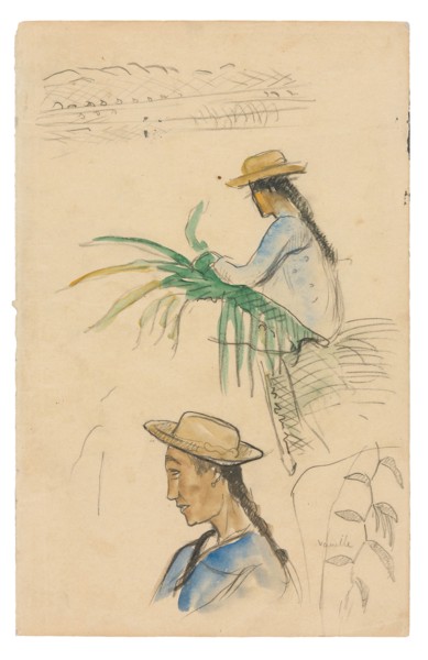 Sketches of Figures, Pandanus Leaf, and Vanilla Plant, 1891/93, Paul Gauguin, French, 1848-1903,