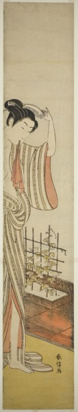 Beauty and Morning Glories, n.d., Suzuki Harunobu ?? ??, Japanese, 1725 (?)-1770, Japan, Color