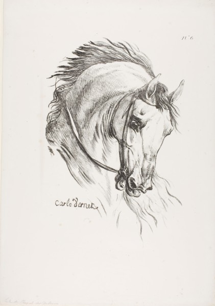 Detail of Horse’s Head, Enlarged to Triple Size, Hussard, Royal Guard, No. 6, c. 1818, Carle Vernet