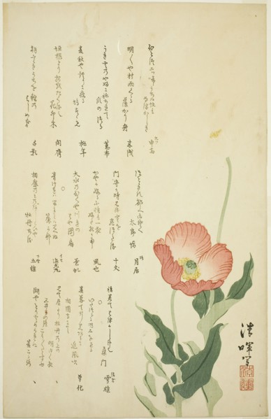 Two Poppies, c. early 1820s, Yokoyama Seiki, Japanese, 1793-1865, Japan, Color woodblock print,