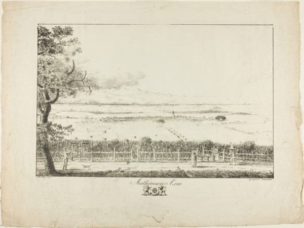 View of Mulhouse, 1810, printed 1814/16, Mathieu Mieg (French, 18th-19th century), possibly after
