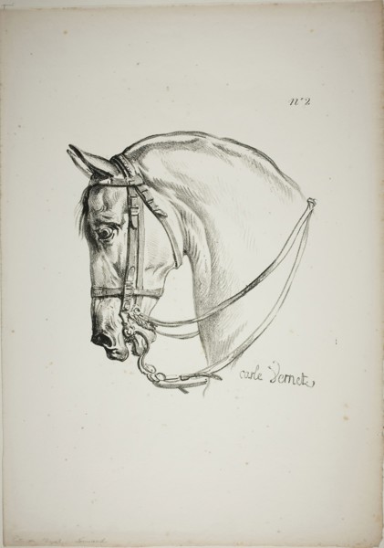 Detail of Horse’s Head, Enlarged to Triple Size, Norman Royal Guard, No. 2, c. 1818, Carle Vernet