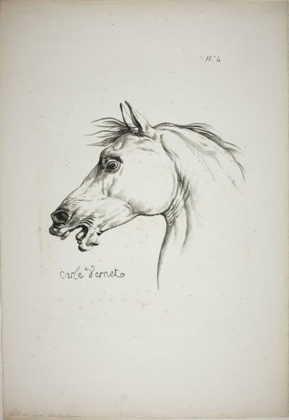 Detail of Horse’s Head, Enlarged to Triple Size, Norman Royal Guard, No. 4, c. 1818, Carle Vernet