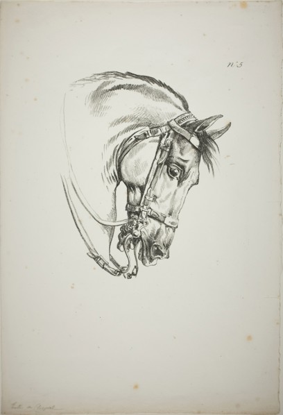 Detail of Horse’s Head, Enlarged to Triple Size, Norman Royal Guard, No. 5, First Limoges Horse, c.