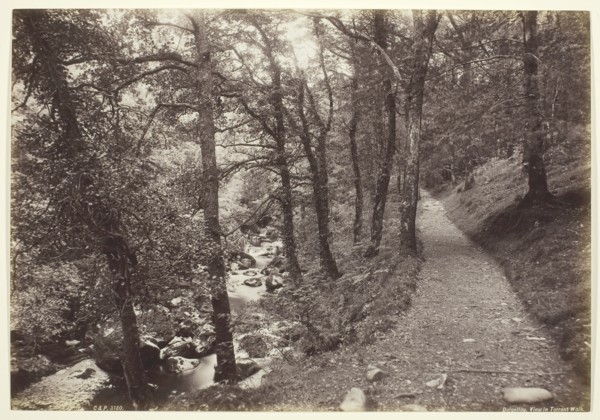 Dolgelley, View in Torrent Walk, 1860/94, Francis Bedford, English, 1816–1894, England, Albumen