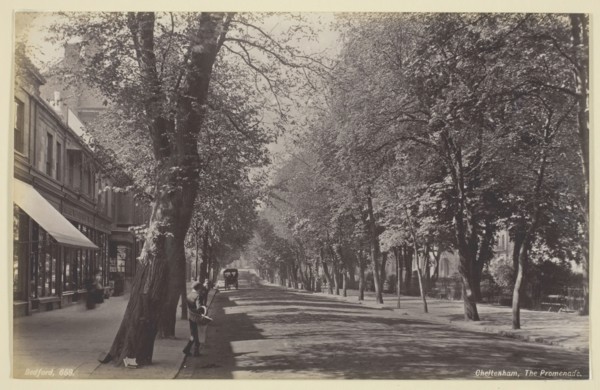 Cheltenham, the Promenade, 1860/94, Francis Bedford, English, 1816–1894, England, Albumen print, 12
