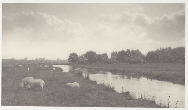 On the River Bure, 1886, Peter Henry Emerson, English, born Cuba, 1856–1936, England, Platinum