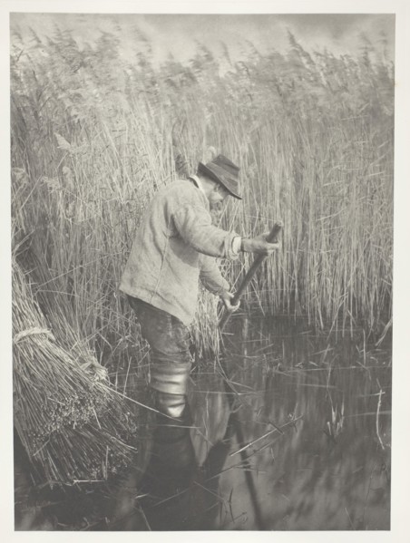 A Reed-Cutter at Work, 1886, Peter Henry Emerson, English, born Cuba, 1856–1936, England, Platinum