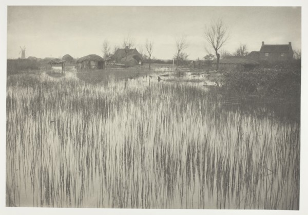 A Rushy Shore, 1886, Peter Henry Emerson, English, born Cuba, 1856–1936, England, Platinum print,