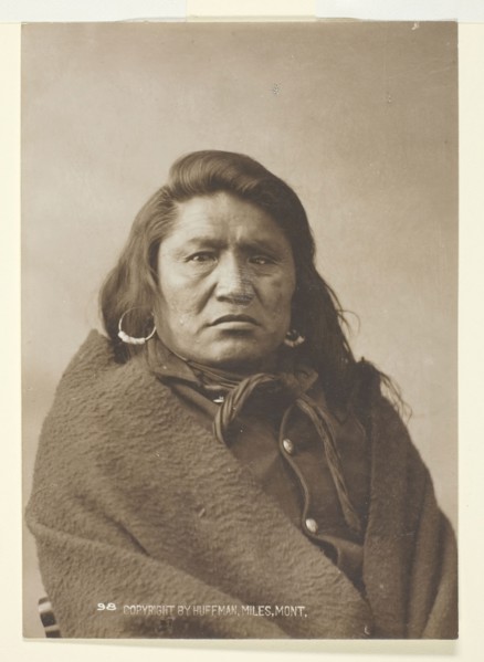Deaf Bull, c. 1880, Laton Alton Huffman, American, 1854–1931, United States, Gelatin silver print,