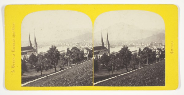 Lucerne, 1850/77, A. Braun, French, 1811–1877, France, Albumen print, stereo, from the series