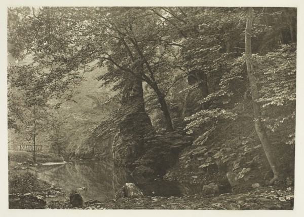 Pike Pool (from below), 1880s, Peter Henry Emerson, English, born Cuba, 1856–1936, England,