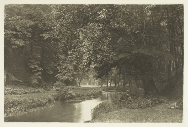 In Beresford Dale, 1880s, Peter Henry Emerson, English, born Cuba, 1856–1936, England,