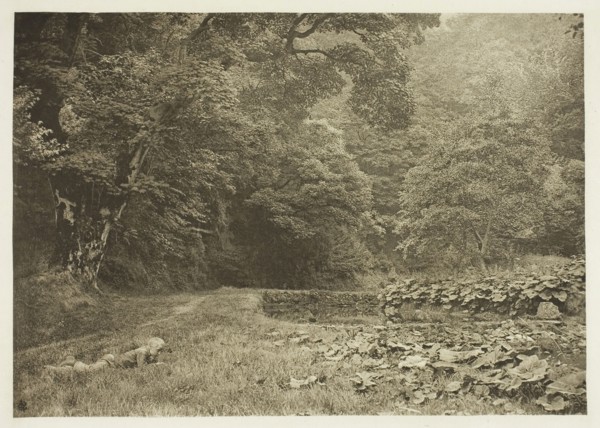 A Quiet Nook in Beresford Dale, 1880s, Peter Henry Emerson, English, born Cuba, 1856–1936, England,