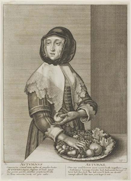 Autumn, from The Four Seasons, 1641, Wenceslaus Hollar, Czech, 1607-1677, Bohemia, Etching on gray