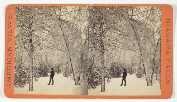 View on Goat Island, 1869/73, Anthony & Company, American, active 1848–1901, United States, Albumen