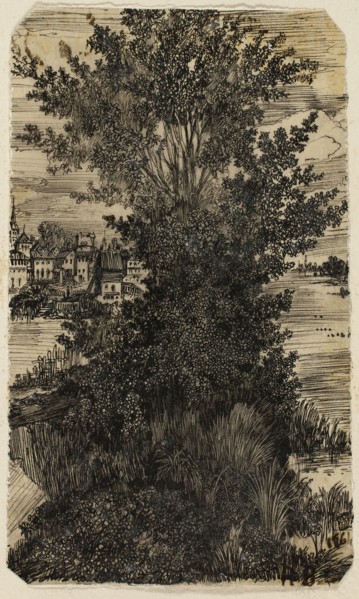 Clump of Trees with a Village in the Distance, 1861, Rodolphe Bresdin, French, 1825-1885, France,