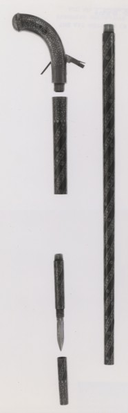 Combined Walking-Cane, Gun, Pistol, Sword, and Dagger, mid–19th century, Indian, India