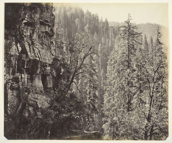 Untitled, c. 1865, Samuel Bourne, English, 1834–1912, England, Albumen print, 24.5 × 29.4 cm