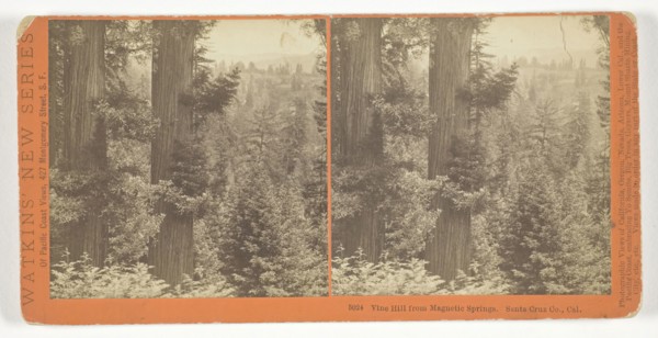 Vine Hill from Magnetic Springs. Santa Cruz Co., Cal., 1878/82, Carleton Watkins, American,