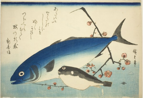Yellowtail, blowfish, and plum branch, c. 1840/42, Utagawa Hiroshige ?? ??, Japanese, 1797-1858,
