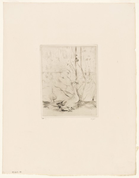 The Goose, 1889, Berthe Morisot, French, 1841-1895, France, Drypoint on cream laid paper, 144 × 112