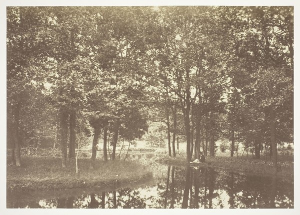 Untitled, c. 1850, Charles Marville, French, 1813–1879, France, Albumen print, from the series