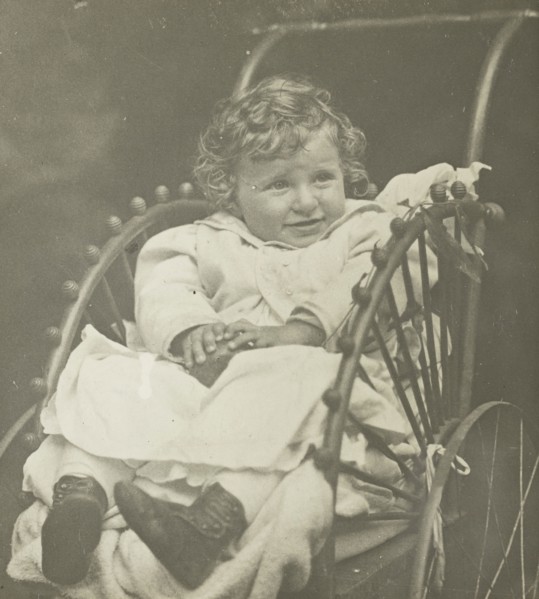 Untitled (Howard Schubart in Carriage), 1893, Alfred Stieglitz, American, 1864–1946, United States,