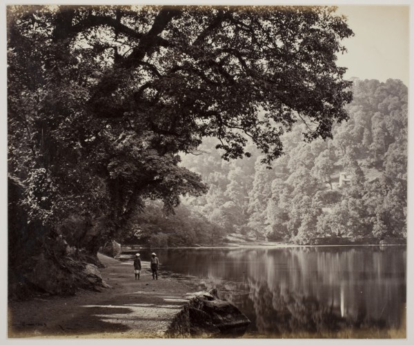 Untitled, 1870s, Samuel Bourne, English, 1834–1912, England, Albumen print, 23.6 × 28.3 cm