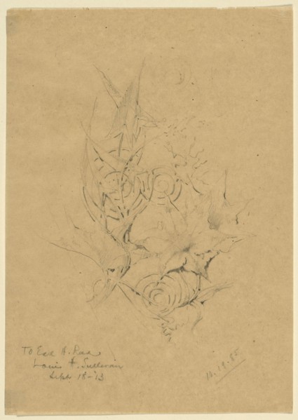 Plant Form Study, 1885, Louis H. Sullivan, American, 1856-1924, United States, Pencil on paper, 19