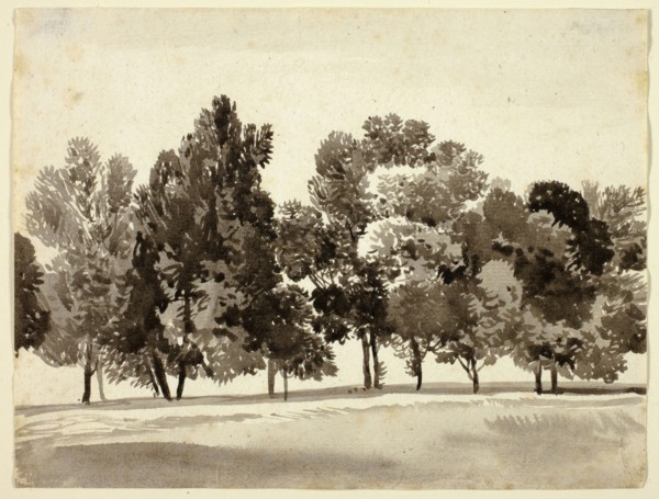 Grove of Leafy Trees, c. 1818, Franz Kobell, German, 1749-1822, Germany, Brush and brown wash on