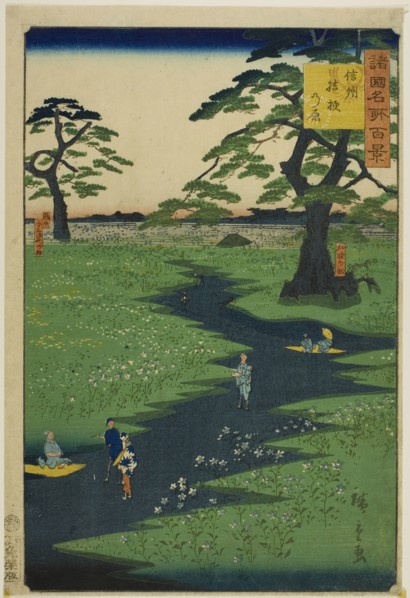 Kikyo Plain, Shinshu Province (Shinshu Kikyogahara) from the series One Hundred Famous Views in the