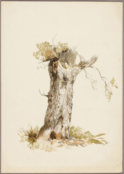 Tree Trunk I, n.d., Style of William Callow, English, 1812-1908, United Kingdom, Watercolor over