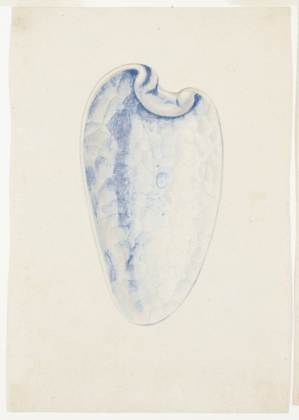 Overview of Lavender Elongated Shell, n.d., Giuseppe Grisoni, Italian, born Flanders, 1699-1769,