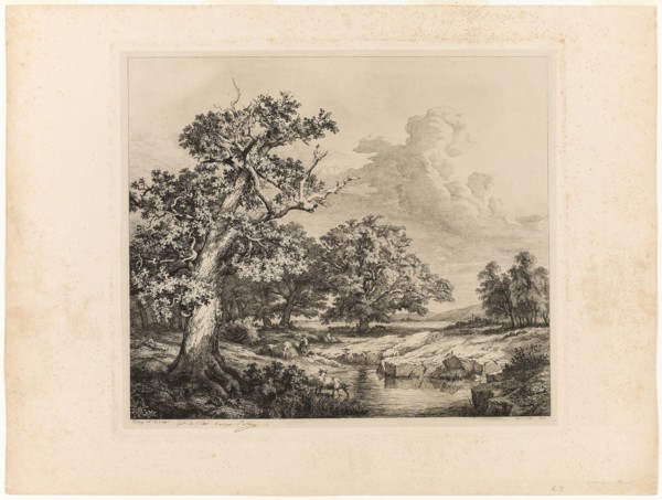 The Old Oak by the Pools at Bellecroix, 1843, Eugène Blery, French, 1805-1887, France, Etching on