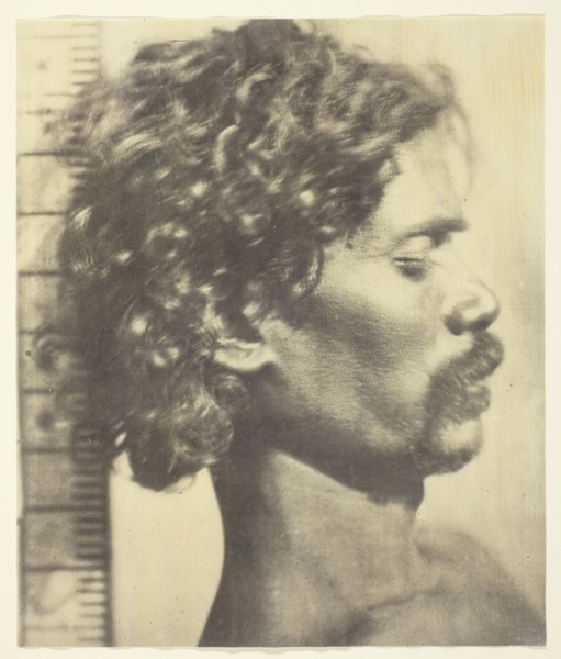 Kuruba Man, 1873, James Wilkinson Breeks, English, 1830–1872, England, Albumen silver print, 21.9 ×