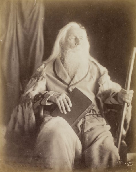 Charles Hay Cameron, 1864/65, Julia Margaret Cameron, English, 1815–1879, England, Albumen print,